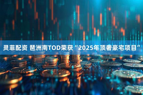 灵菲配资 琶洲南TOD荣获“2025年顶奢豪宅项目”