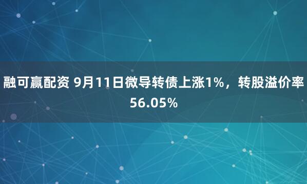融可赢配资 9月11日微导转债上涨1%，转股溢价率56.05%