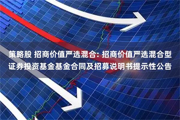 策略股 招商价值严选混合: 招商价值严选混合型证券投资基金基金合同及招募说明书提示性公告