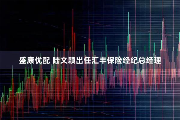 盛康优配 陆文颖出任汇丰保险经纪总经理