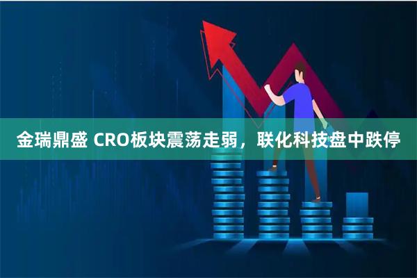 金瑞鼎盛 CRO板块震荡走弱，联化科技盘中跌停