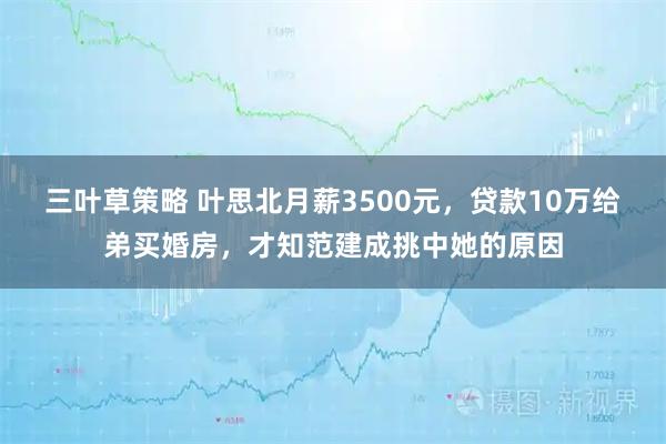 三叶草策略 叶思北月薪3500元，贷款10万给弟买婚房，才知范建成挑中她的原因