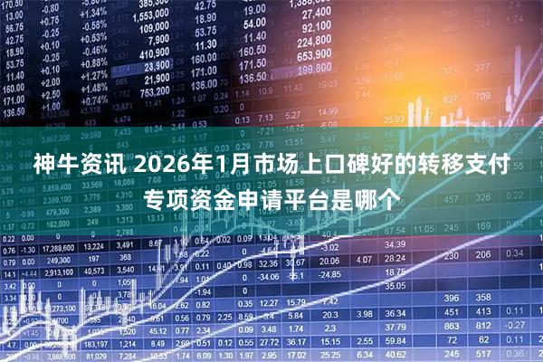 神牛资讯 2026年1月市场上口碑好的转移支付专项资金申请平台是哪个