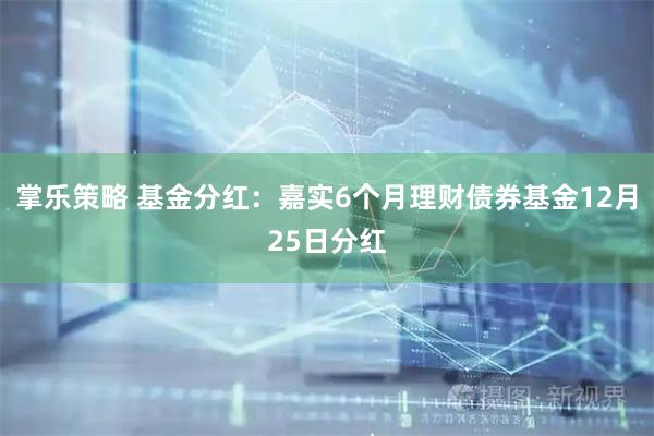 掌乐策略 基金分红：嘉实6个月理财债券基金12月25日分红