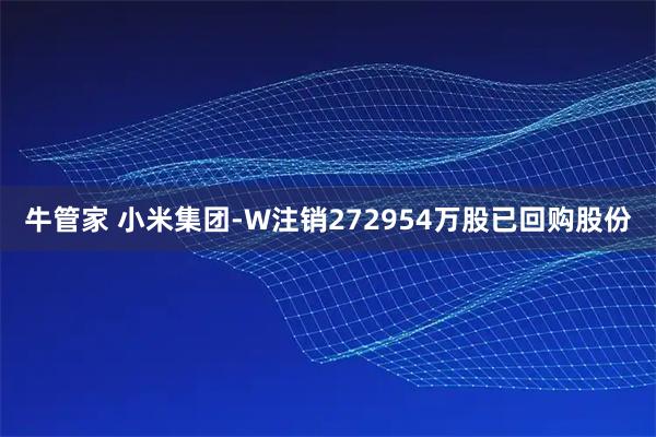 牛管家 小米集团-W注销272954万股已回购股份